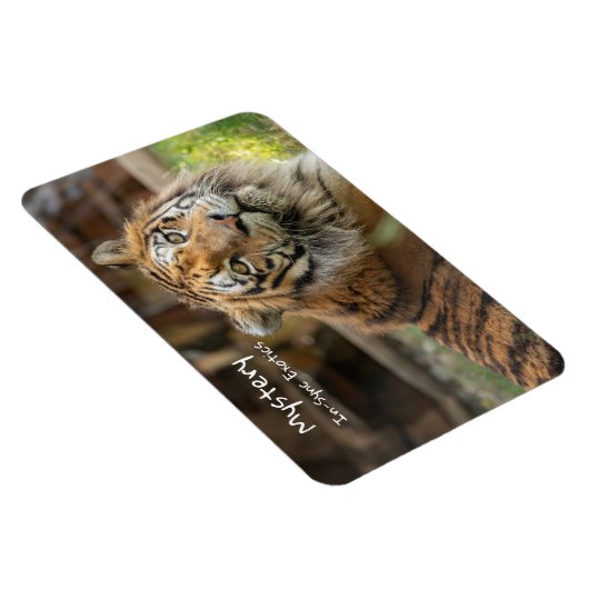 Mysterie -  magneet (Rechterzijde)