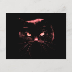 Mysteriel kat briefkaart