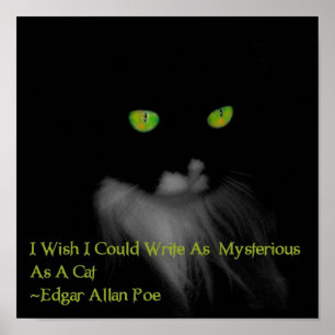 Mysteriel kat poster