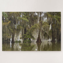 Mysteriel Magical Acadian Cypress Swamp Puzzle