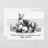 Mysteriele katten briefkaart (Voorkant / Achterkant)