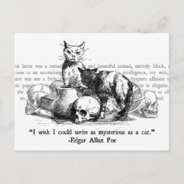 Mysteriele katten briefkaart