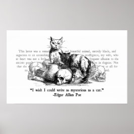 Mysteriele katten poster