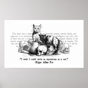 Mysteriele katten poster