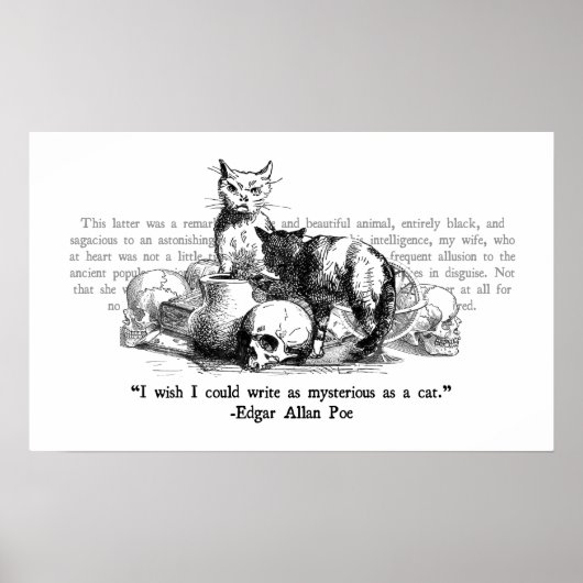 Mysteriele katten poster (Voorkant)