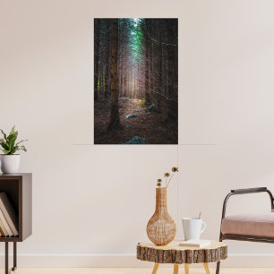 Mysterieus sparrenbos poster