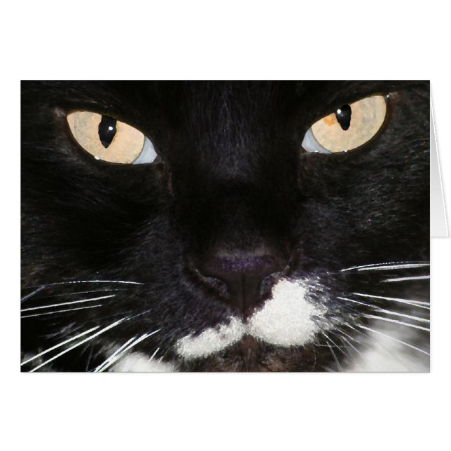 Mystérieux (Devant horizontal)