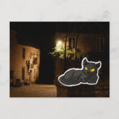 Mysterieuze Kat Briefkaart (Voorkant)