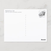 Mysterieuze Kat Briefkaart (Achterkant)