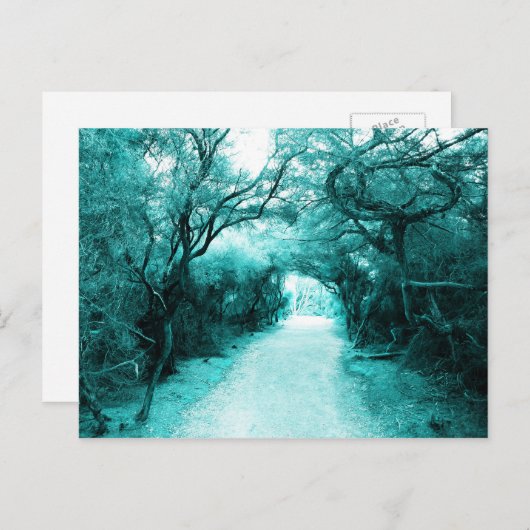 Mysterious Footpath, Moonlight path, Trees Briefkaart (Voorkant / Achterkant)