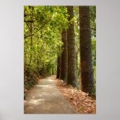 Mysterious Forest Path Poster (Voorkant)