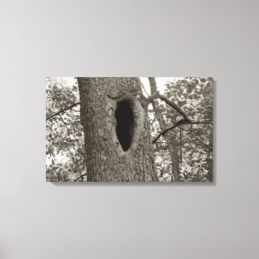 Mysterious Hole (Sepia) Canvas Afdruk (Voorkant)