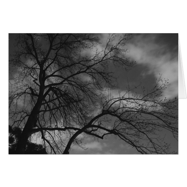 Mysterious Night (Voorkant Horizontaal)