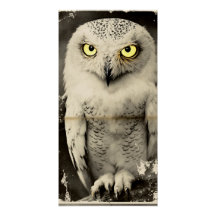 Mysterious Owl Newspaper Print - folklore