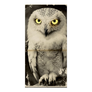 Mysterious Owl Newspaper Print -  folklore Perfect Poster