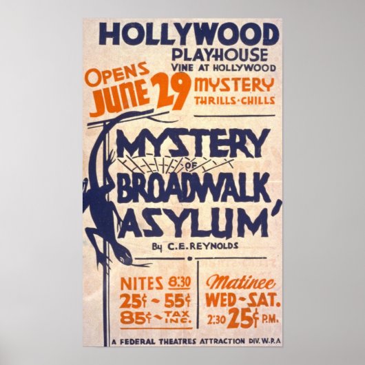 Mystery of Broadwalk Asylum Vintage Poster (Voorkant)