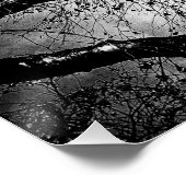 Mystery tree black and white perfect poster (Hoek)