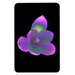 Mystic Beauty Crocus Flower Premium Magnet Magneet