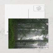 Mystic Bossen Briefkaart (Voorkant / Achterkant)