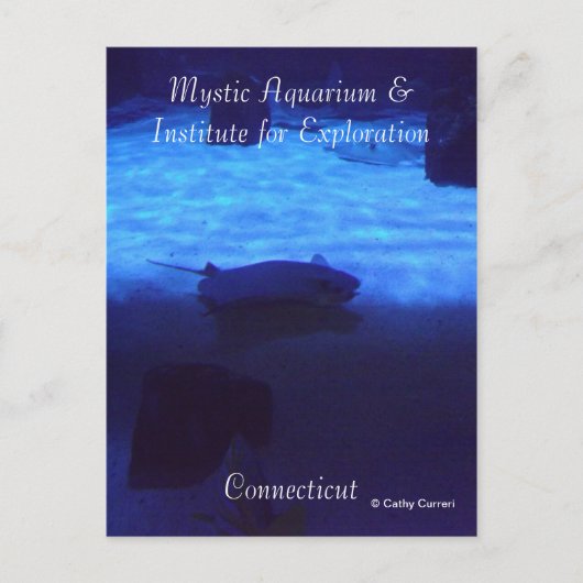 Mystic Briefkaart (Voorkant)