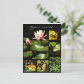 Mystic, Connecticut Briefkaart (Staand voorkant)