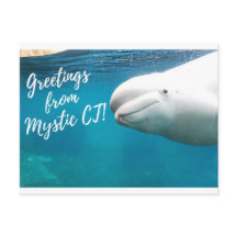 Mystic CT Post Kaart - Burger Post Art #004 gesign