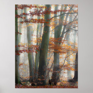 Mystic Foggy Forest in het najaar Poster