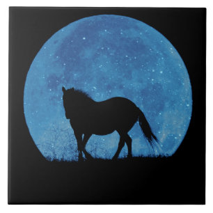 Mystic Horse in Sparkle Moon Tegeltje
