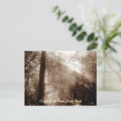 Mystic Morning CN4 - carte postale (Debout devant)