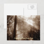 Mystic Morning CN4 - carte postale (Devant / Derrière)