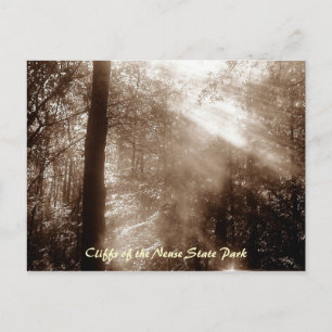 Mystic Morning CN4 - carte postale