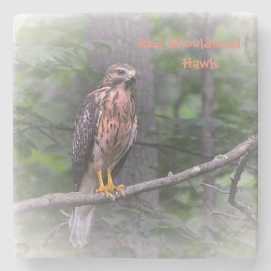 Mystical Hawk Stenen Onderzetter (Voorkant)