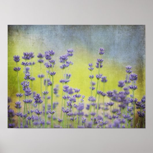 Mystical Lavender Poster (Voorkant)