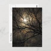 Mystical Moon Briefkaart (Voorkant / Achterkant)
