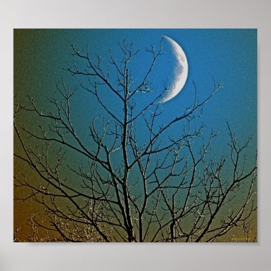 Mystical Moon ll Poster (Voorkant)