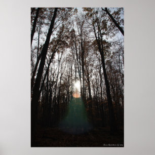 Mystical Spirit of the Forest Print #015