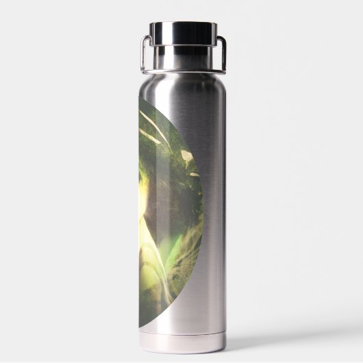 Mystical Willow Tree Fairy Fantasy Art Waterfles (Achterkant)