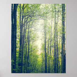 Mystiek bos poster