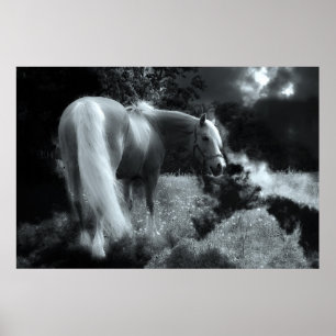 mystiek nachtpaard poster