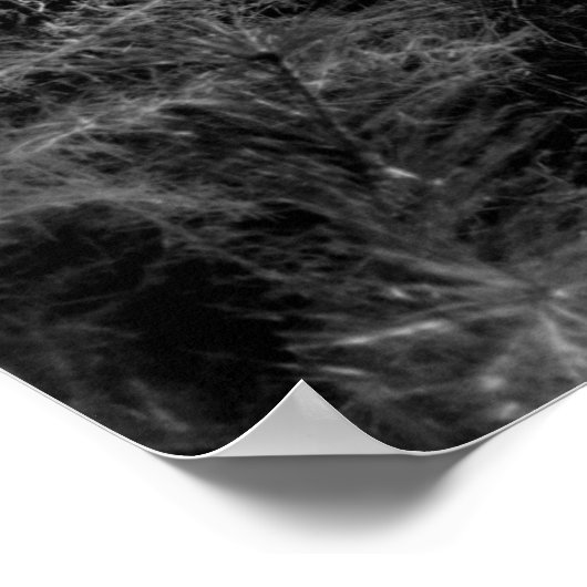 mystiek woud poster (Hoek)