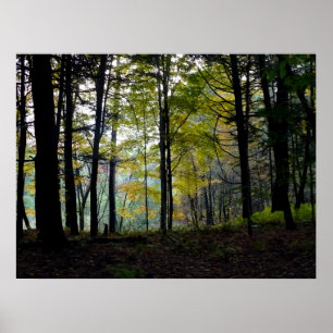 Mystieke Bossen in Quechee Gorge Poster