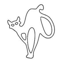 Mystieke Kat Een Stoutmoedige Uitdrukking Van Eleg