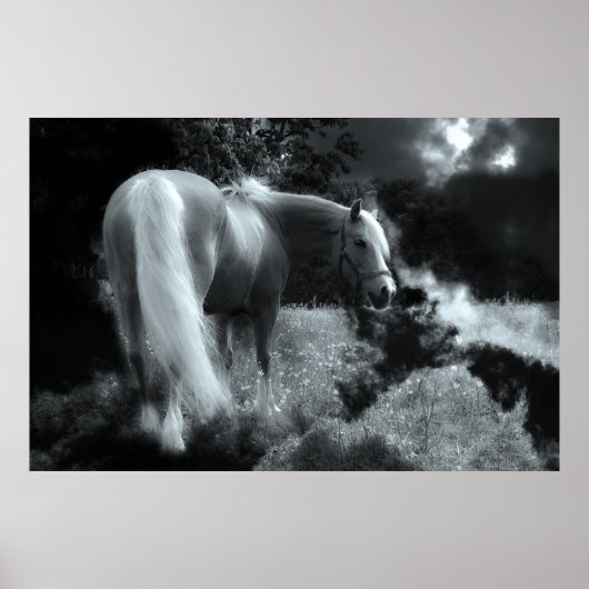 mystieke nacht paard poster (Voorkant)