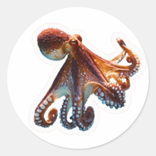 Mystieke Octopus in de Oceaan - Artistiek Diepzeed Ronde Sticker