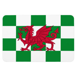 Mystieke Rode Keltische Drakenvlag van Wales Magneet