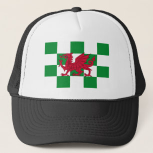 Mystieke Rode Keltische Drakenvlag van Wales Trucker Pet