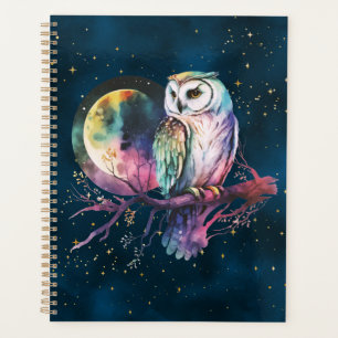 Mystieke Uil Maanscheen Waterverf Nachtelijke Heme Planner