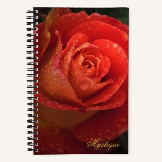 Mystique Dark Botanical Red Orange Rose Journal (Recto)