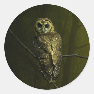 Mystique Owl Ronde Sticker