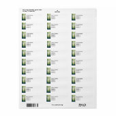 Mystisch bos etiket (Full Sheet)